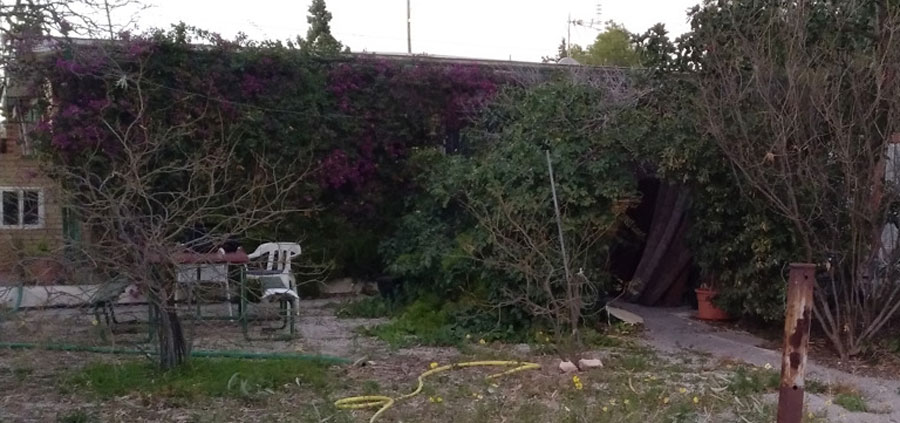 Jardín antes