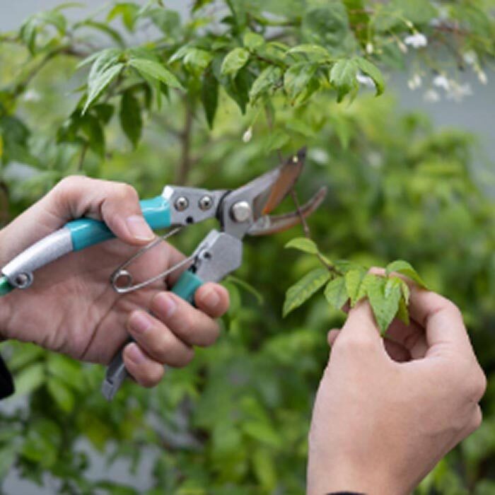 Mantenimiento de jardines y paisajes