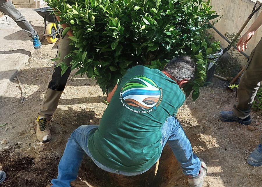 Servicios de jardinería