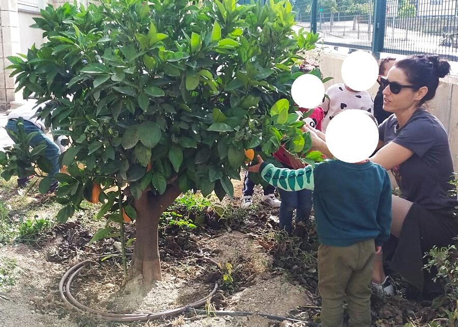 Servicios de jardinería